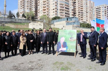 Fəlsəfə və Sosiologiya İnstitutunun əməkdaşları ağacəkmə aksiyasında iştirak ediblər