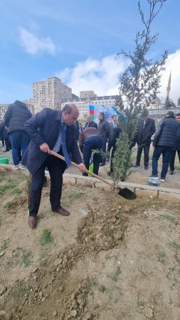 Fəlsəfə və Sosiologiya İnstitutunun əməkdaşları ağacəkmə aksiyasında iştirak ediblər