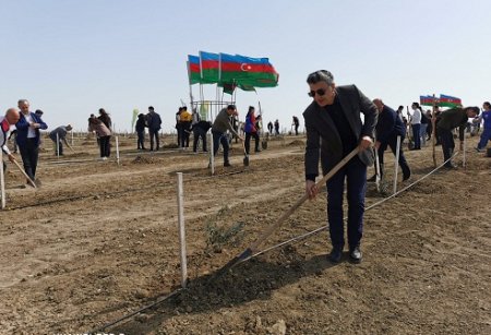 YAP AMEA Fəlsəfə və Sosiologiya İnstitutu üzrə ərazi təşkialtı ağacəkmə aksiyasında iştirak ediblər 