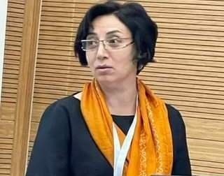 Türk dünyası diasporunun vizyonu